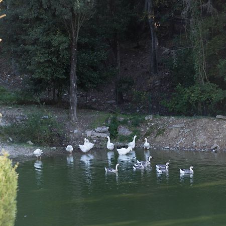 Tenuta La Bandita Sassetta Extérieur photo