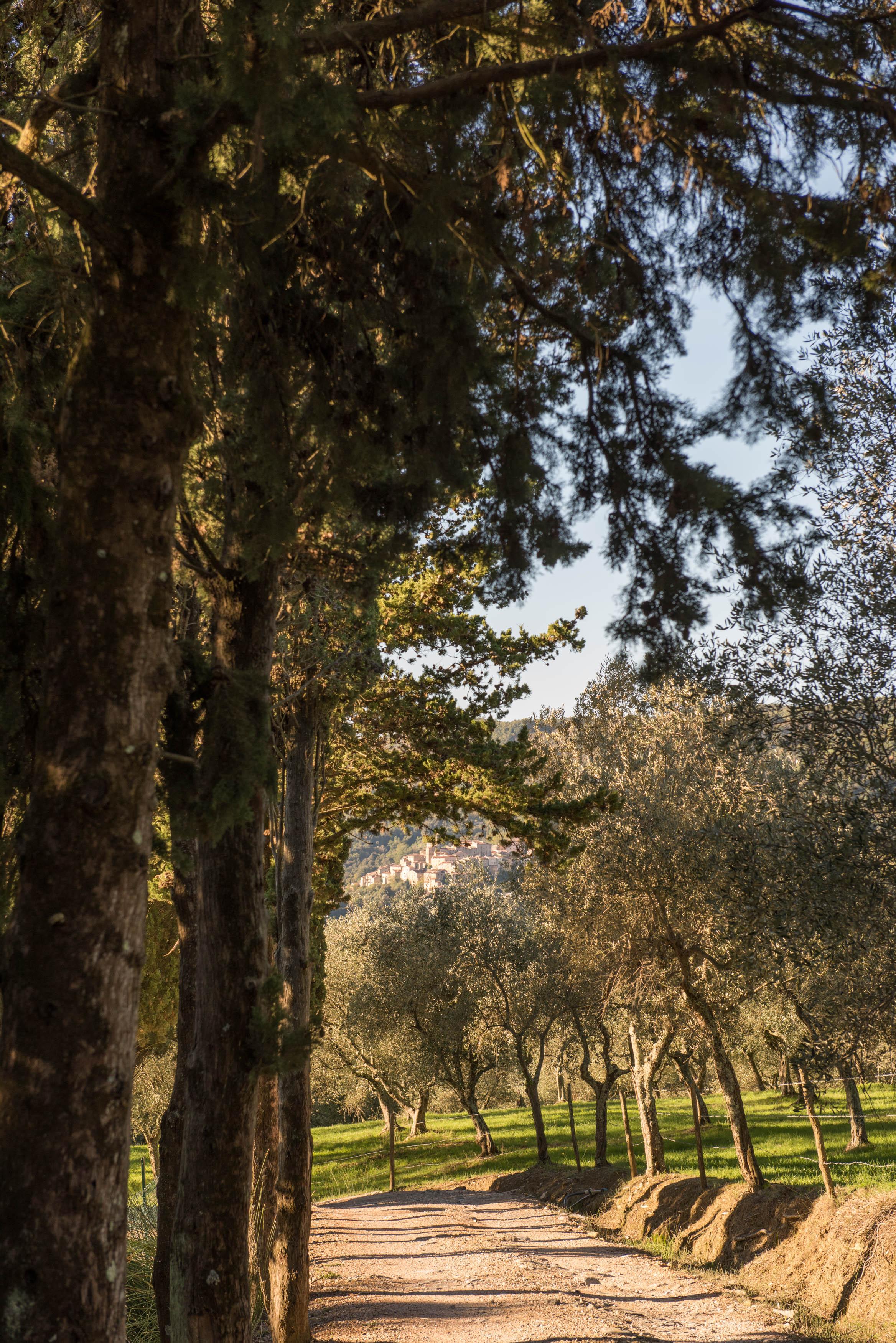 Tenuta La Bandita Sassetta Extérieur photo
