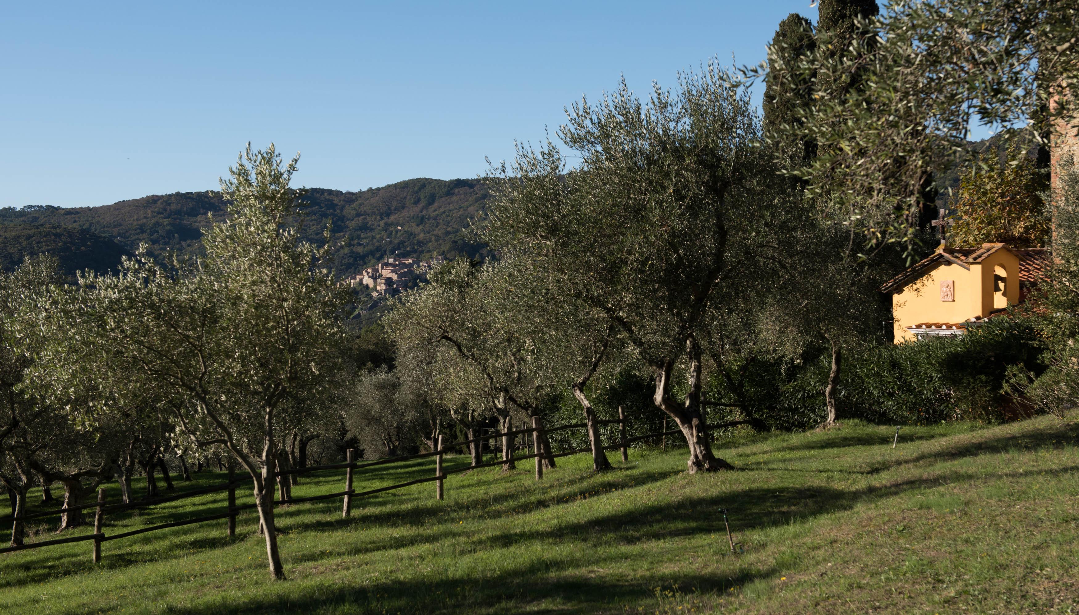Tenuta La Bandita Sassetta Extérieur photo